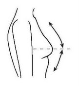 Shapes of Bust
